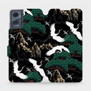 Phone Case Motorola Moto E22i - Design VP16S