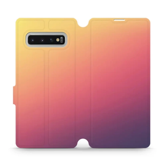 Phone Case Samsung Galaxy S10 Plus - Design VP66S