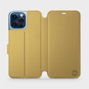 Phone Case Apple iPhone 13 Pro Max - Design Gold&Gray